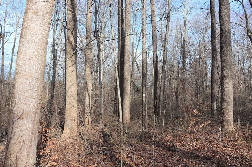 2 Goose Creek Road Freedom, IN 47431 - Photo 10 of 12