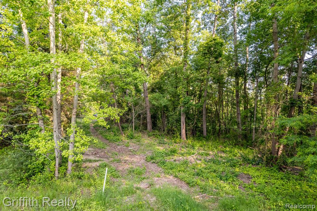 4433 Brighton Road Howell, MI 48843 - Photo 8 of 29
