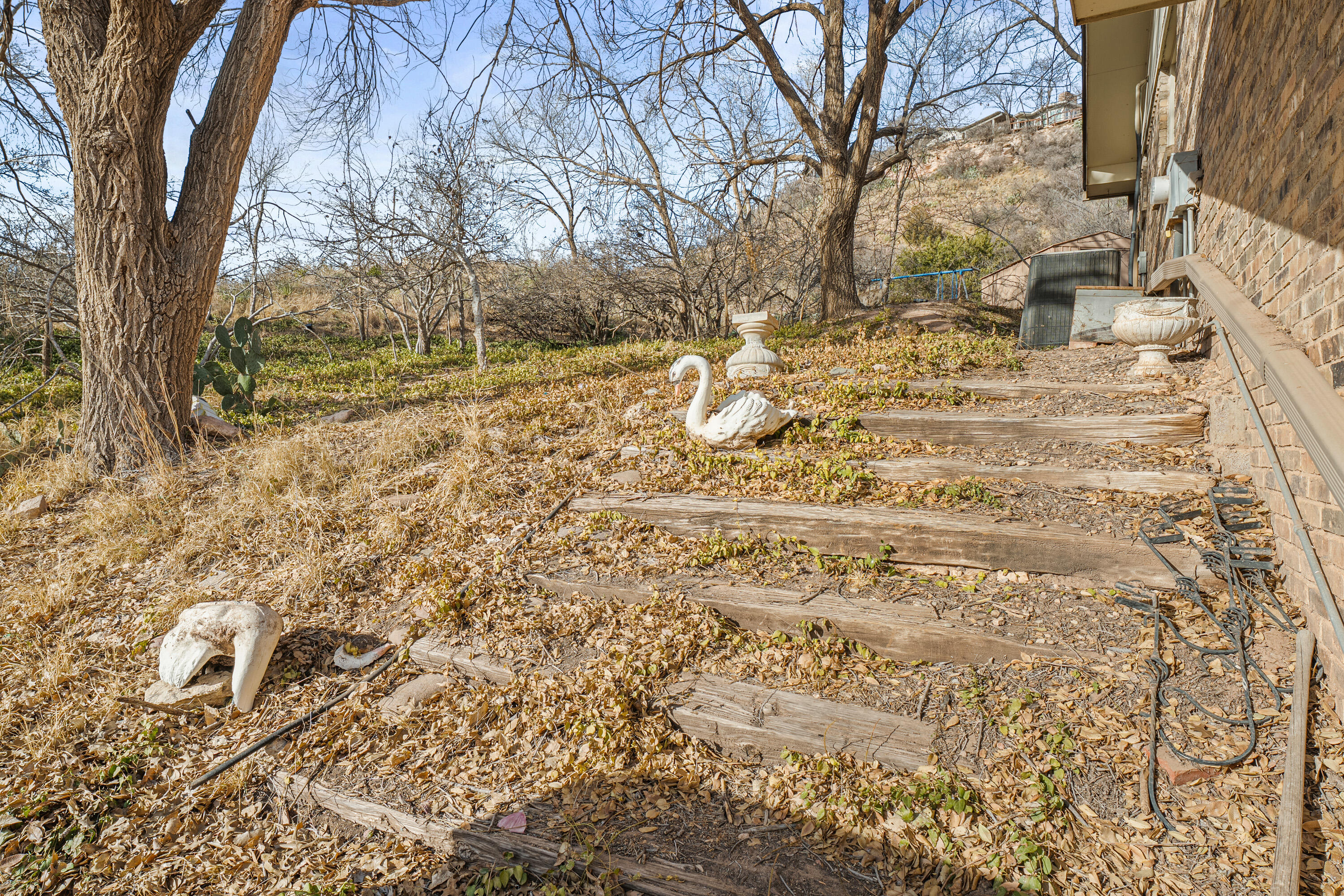 12 Foothill Drive Ransom Canyon, TX 79366 - Photo 35 of 36 a view of yard with large trees