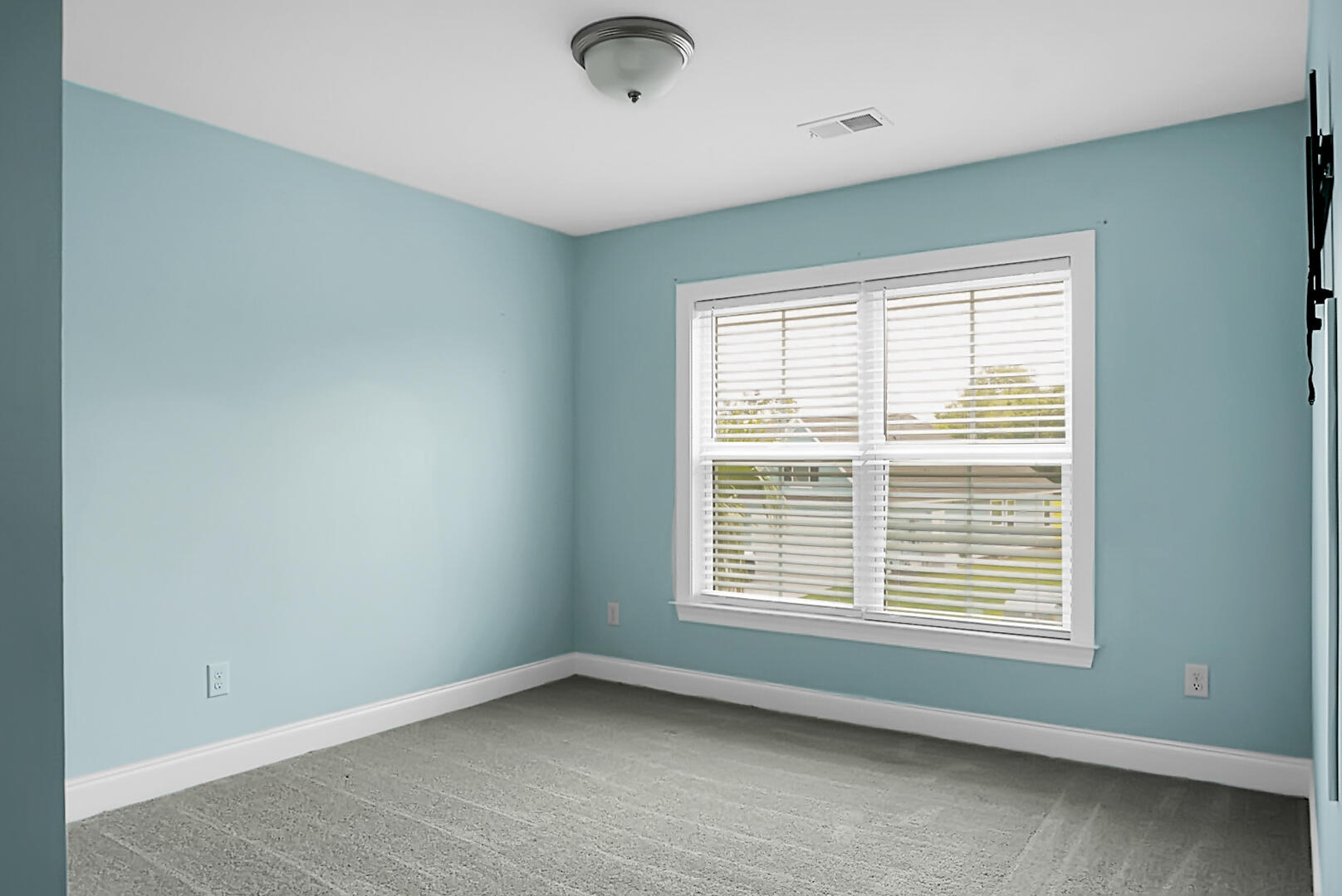 661 Black Pine Road Moncks Corner, SC 29461 - Photo 50 of 74 DSC01246