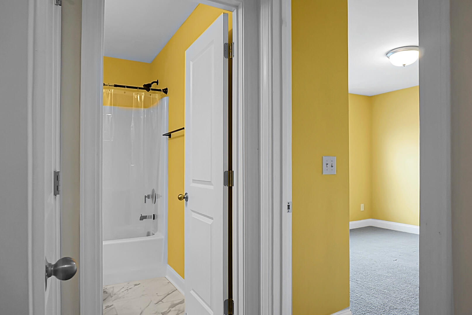 661 Black Pine Road Moncks Corner, SC 29461 - Photo 52 of 74 DSC01252