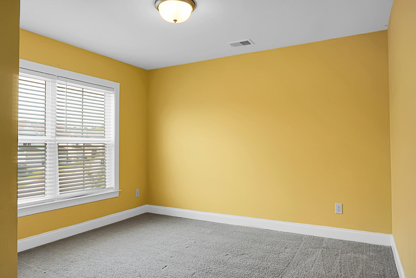 661 Black Pine Road Moncks Corner, SC 29461 - Photo 54 of 74 DSC01258