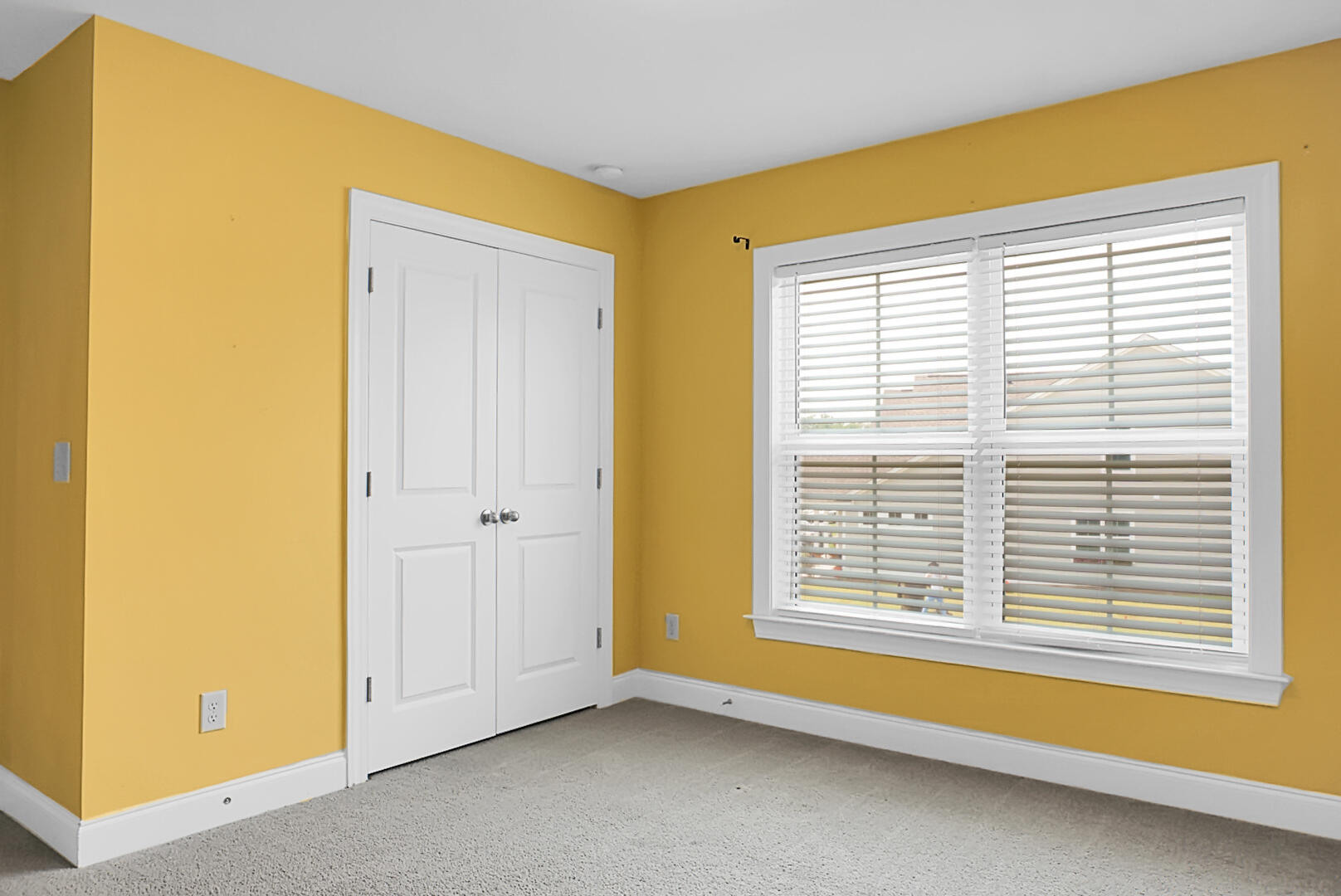 661 Black Pine Road Moncks Corner, SC 29461 - Photo 55 of 74 DSC01261