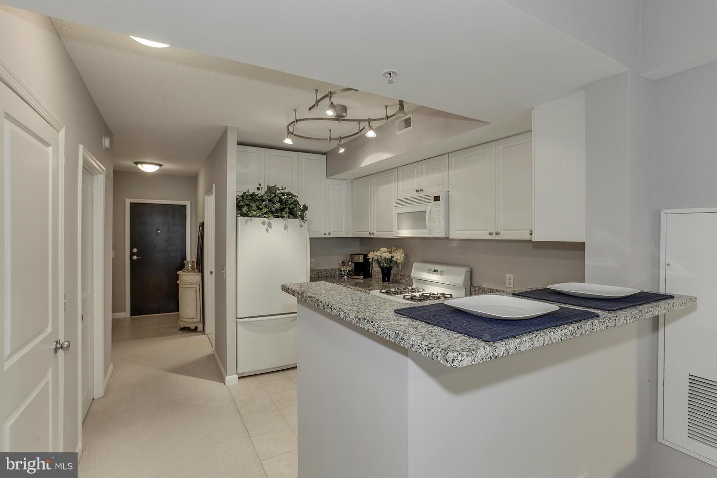 851 North Glebe Road, Unit 1010 Arlington, VA 22203 - Photo 6 of 30 a kitchen with stainless steel appliances granite countertop a sink refrigerator and cabinets