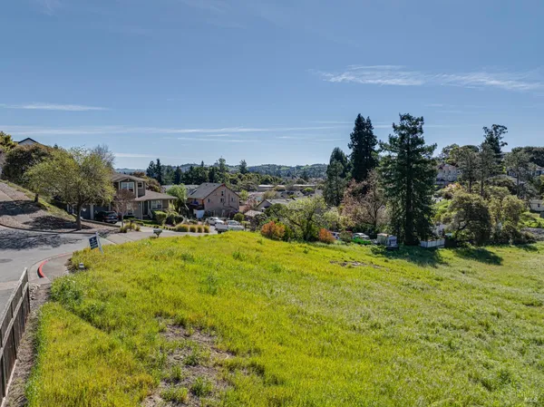 a view of a yard with a tree