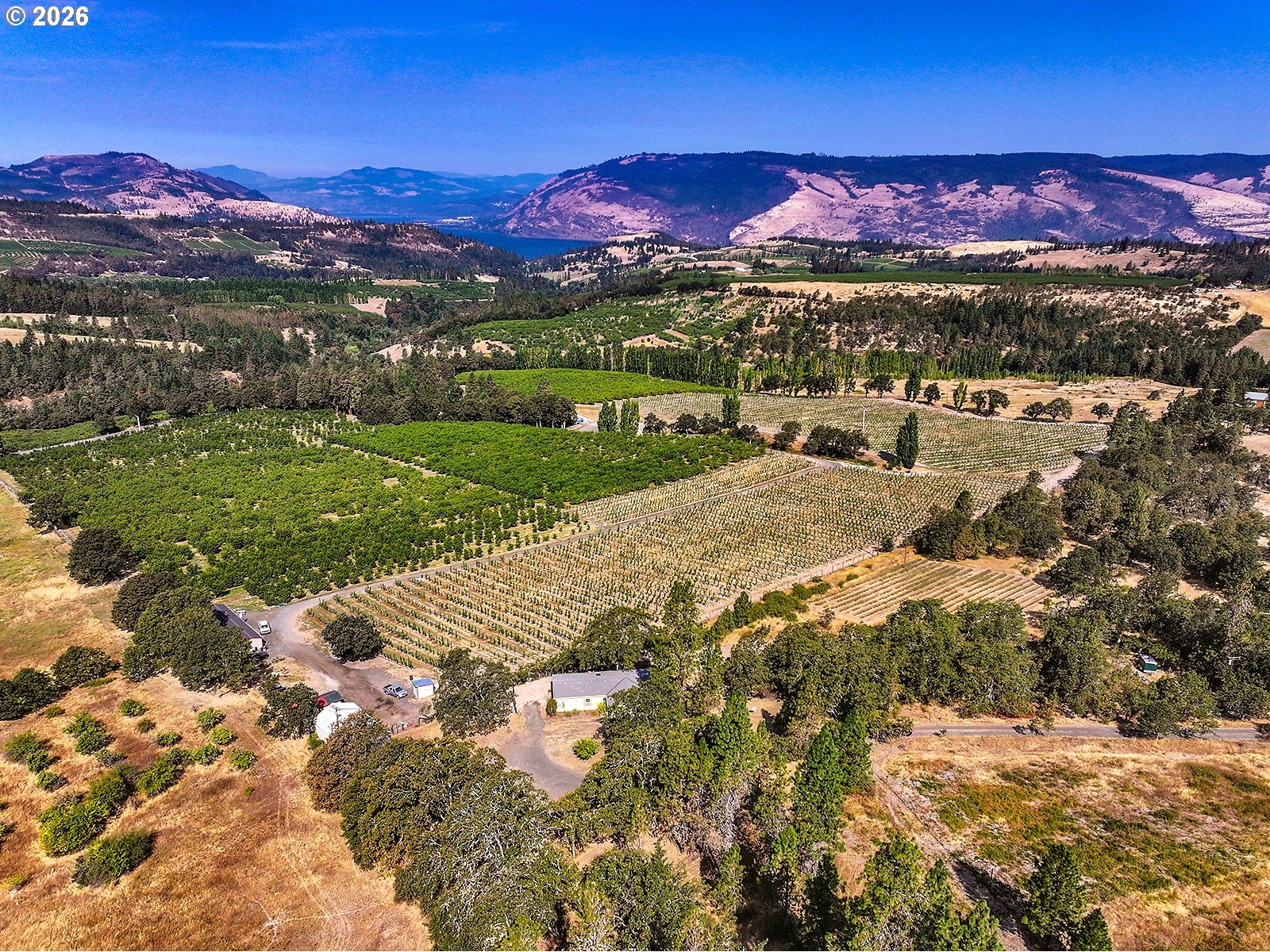 1515 Morgensen Road Mosier, OR 97040 - Photo 10 of 46 View