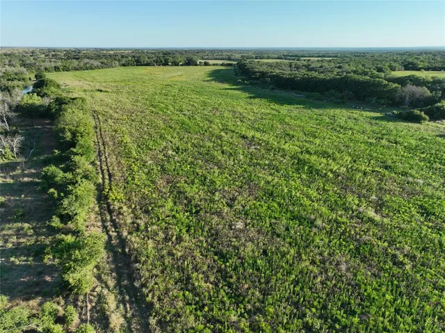 a view of a green field with lots of green space