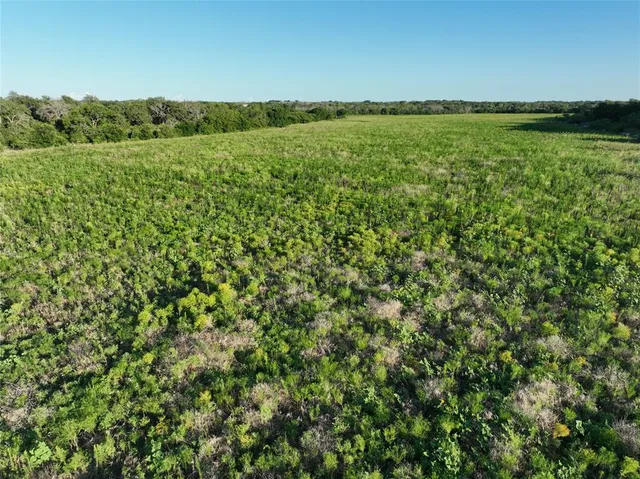 a view of a field with an ocean view