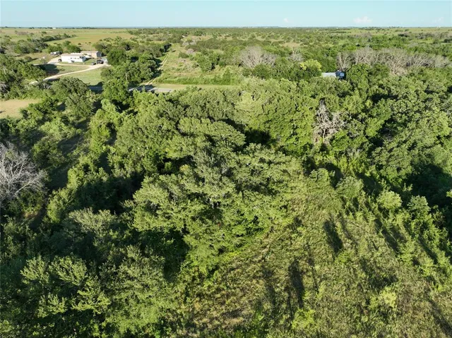 a view of a green field with lots of bushes