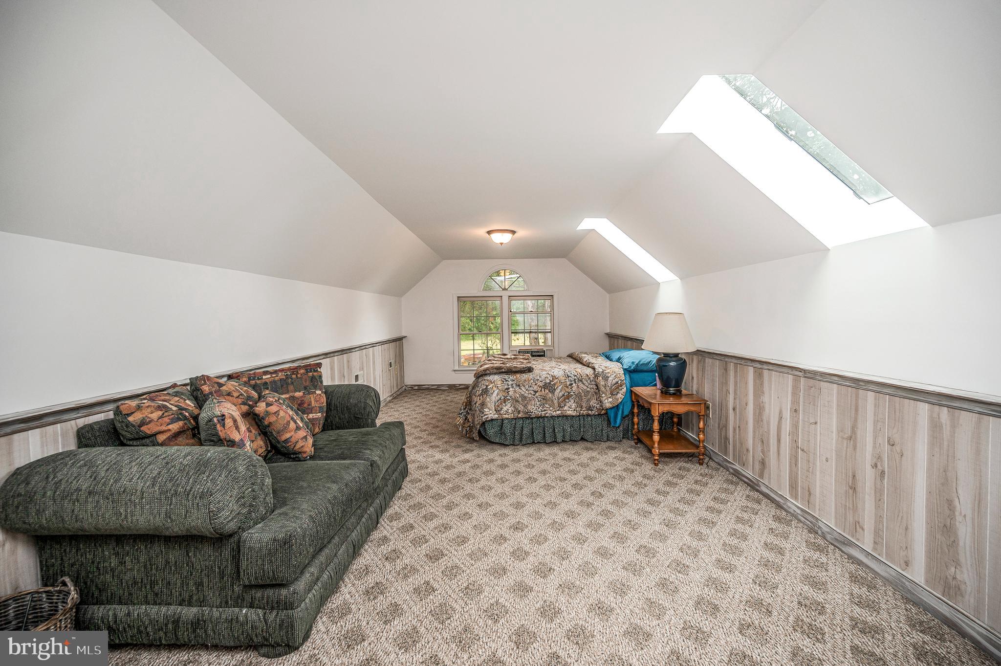 6317 Louisianna Road Locust Grove, VA 22508 - Photo 29 of 57 Bedroom #4 above the garage with skylights.
