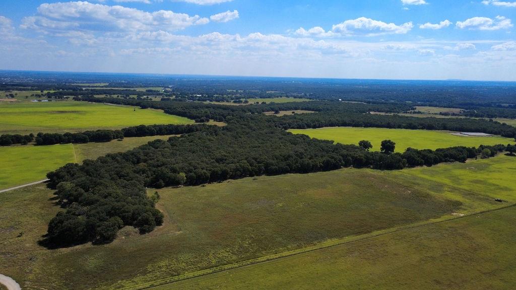 4475 Lazy Bend Road Millsap, TX 76066 - Photo 14 of 19 a view of an outdoor space and yard