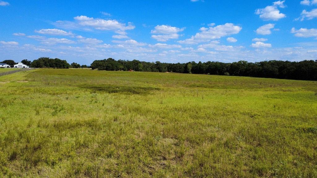4475 Lazy Bend Road Millsap, TX 76066 - Photo 2 of 19 a view of lake