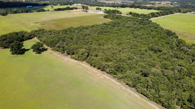 a view of a lake with a mountain in the back