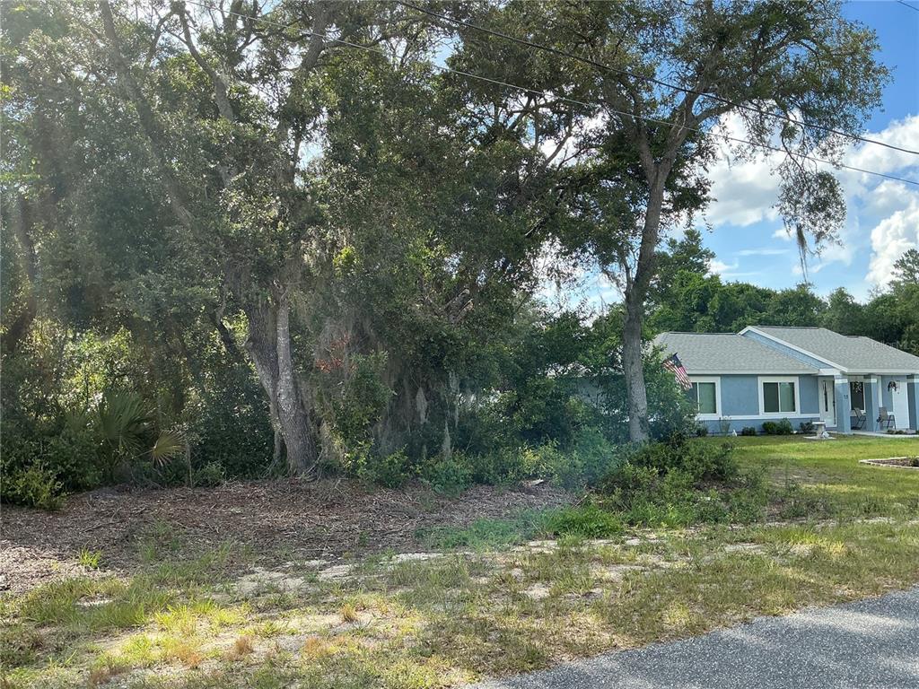 Olive Road Ocala, FL 34472 - Photo 3 of 7 Gallery Image 3