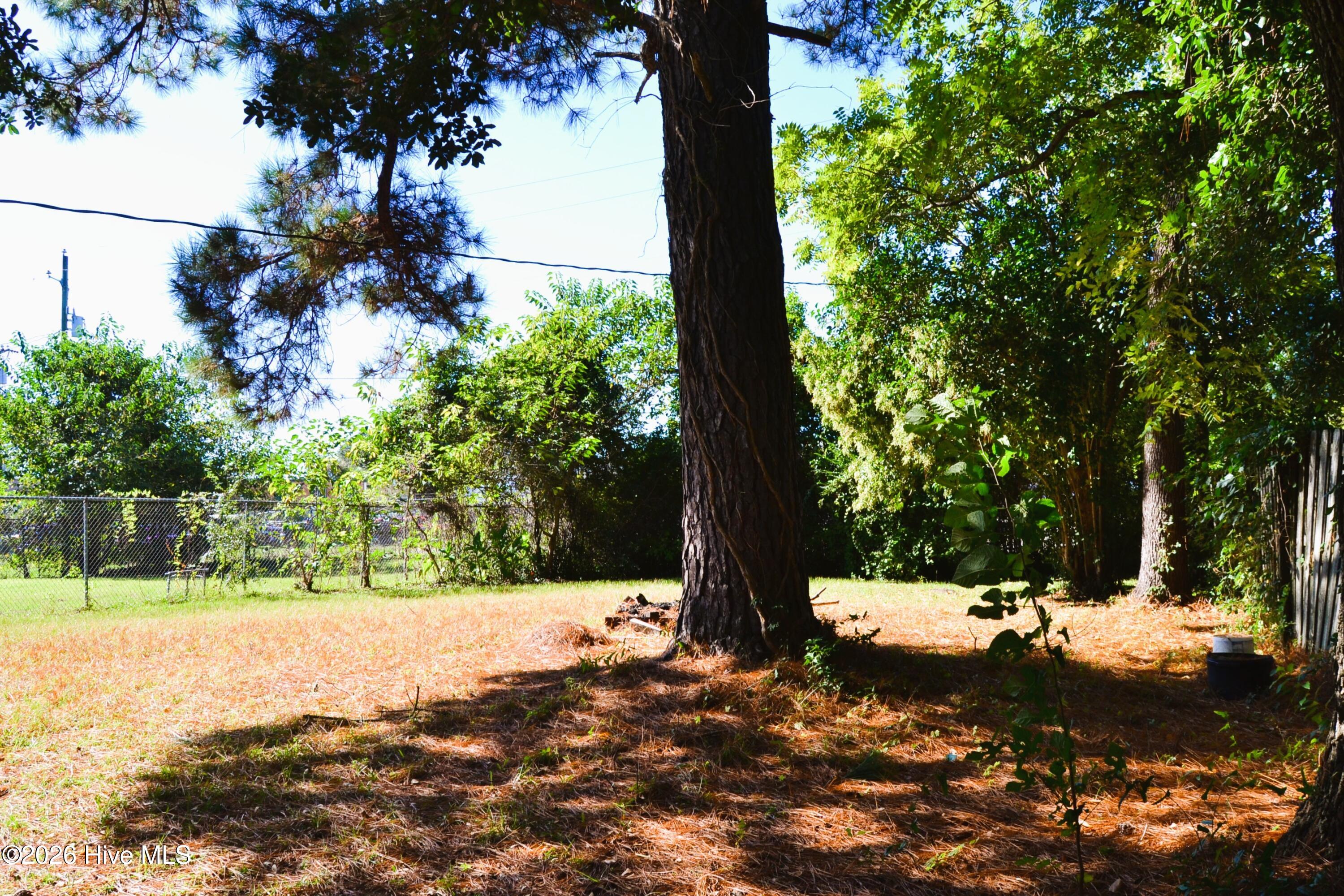 119 Preston Road Jacksonville, NC 28540 - Photo 20 of 22 DSC_1110