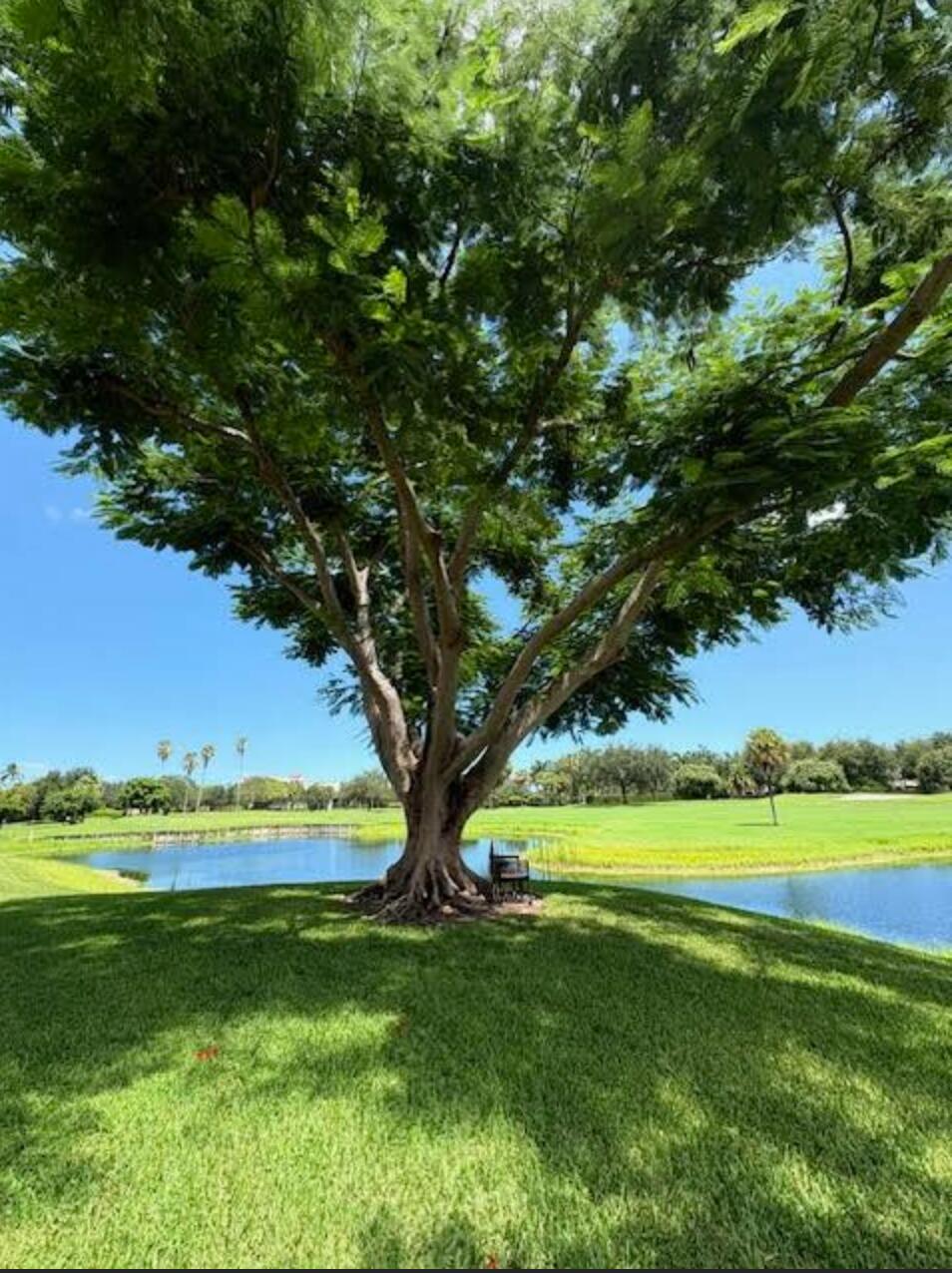 7744 La Mirada Drive Boca Raton, FL 33433 - Photo 26 of 33 a view of a field with a tree in the background