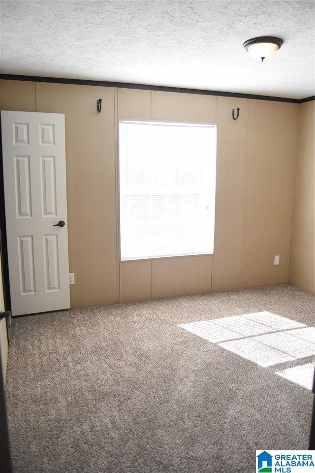 2789 River Street West Anniston, AL 36201 - Photo 27 of 42