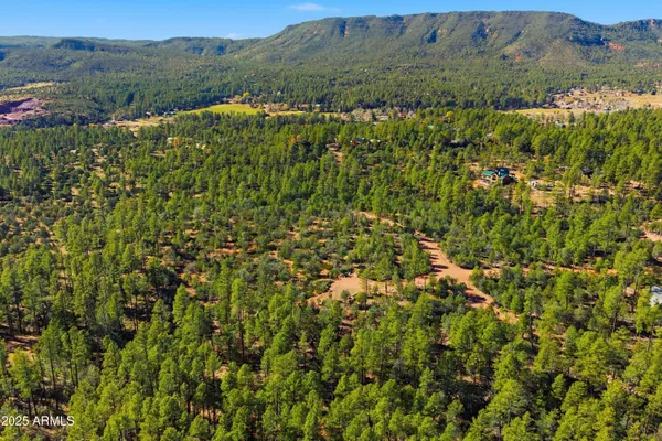 $100,000 | 0 Fawn Drive, Pine, AZ 85544