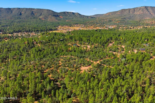 a view of a mountain in the distance in a field