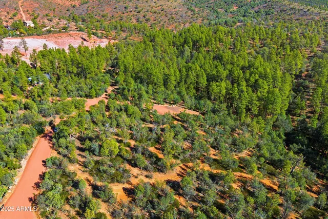 a view of a lush green forest with lots of trees