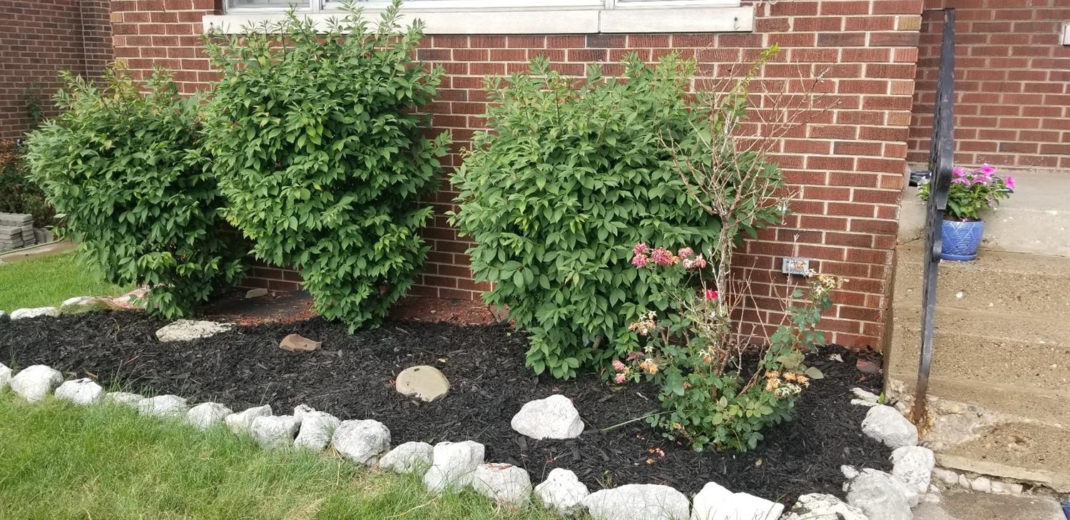 1739 Davis Avenue Whiting, IN 46394 - Photo 8 of 10 a view of a bunch of plants and flowers