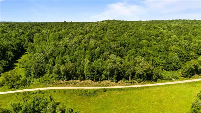 a view of a city with lush green forest