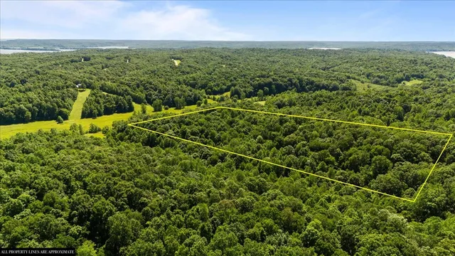 an aerial view of a houses with a yard