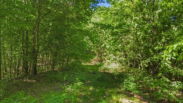 a view of a city with lush green forest