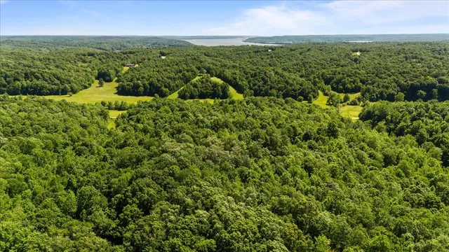 an aerial view of residential houses with outdoor space and trees