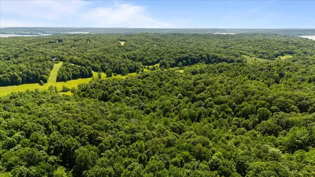an aerial view of residential houses with outdoor space and trees