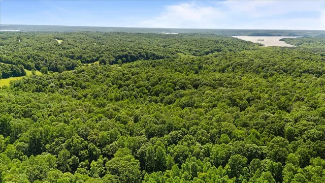 a view of a green field with lots of bushes