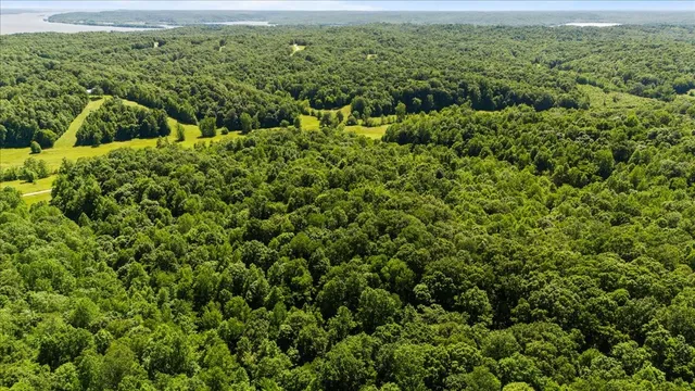 a view of a green field with lots of bushes