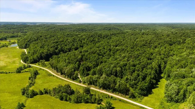 a view of a yard with plants