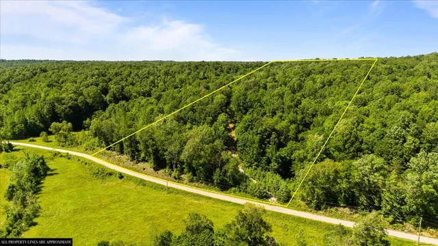 a view of a tennis court