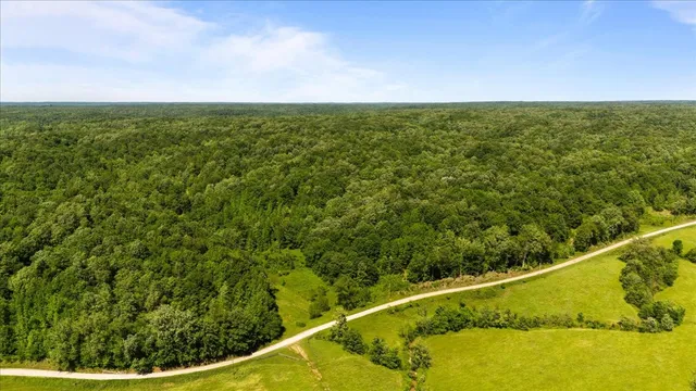 a view of a green field with lots of bushes