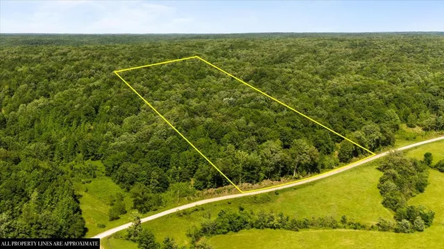 a view of a field with a mountain