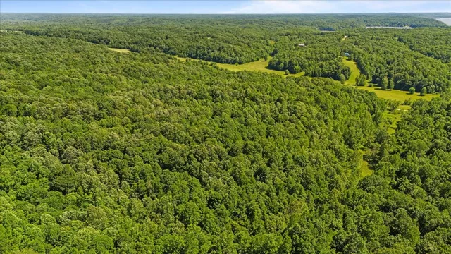 $49,000 | 4040 Jack Saunders Road, Waverly, TN 37185