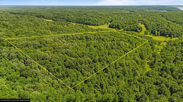 $49,000 | 4040 Jack Saunders Road, Waverly, TN 37185