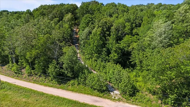 a view of a yard with plants