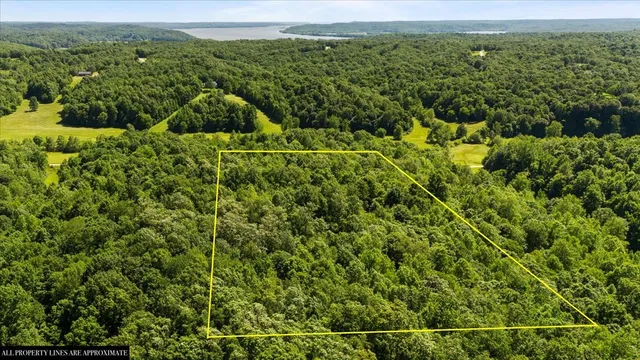a view of a green field with lots of bushes