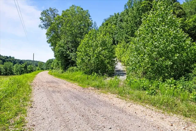 a view of a large yard with lots of bushes
