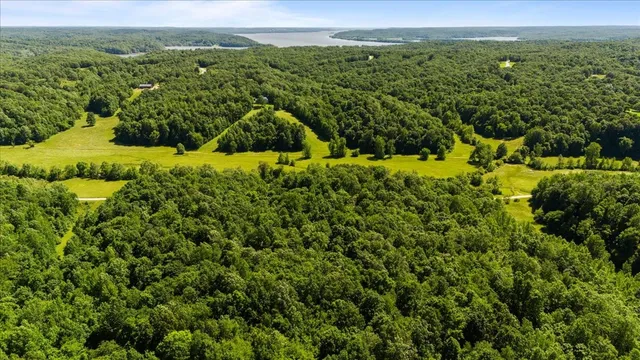 a view of a yard with an outdoor space