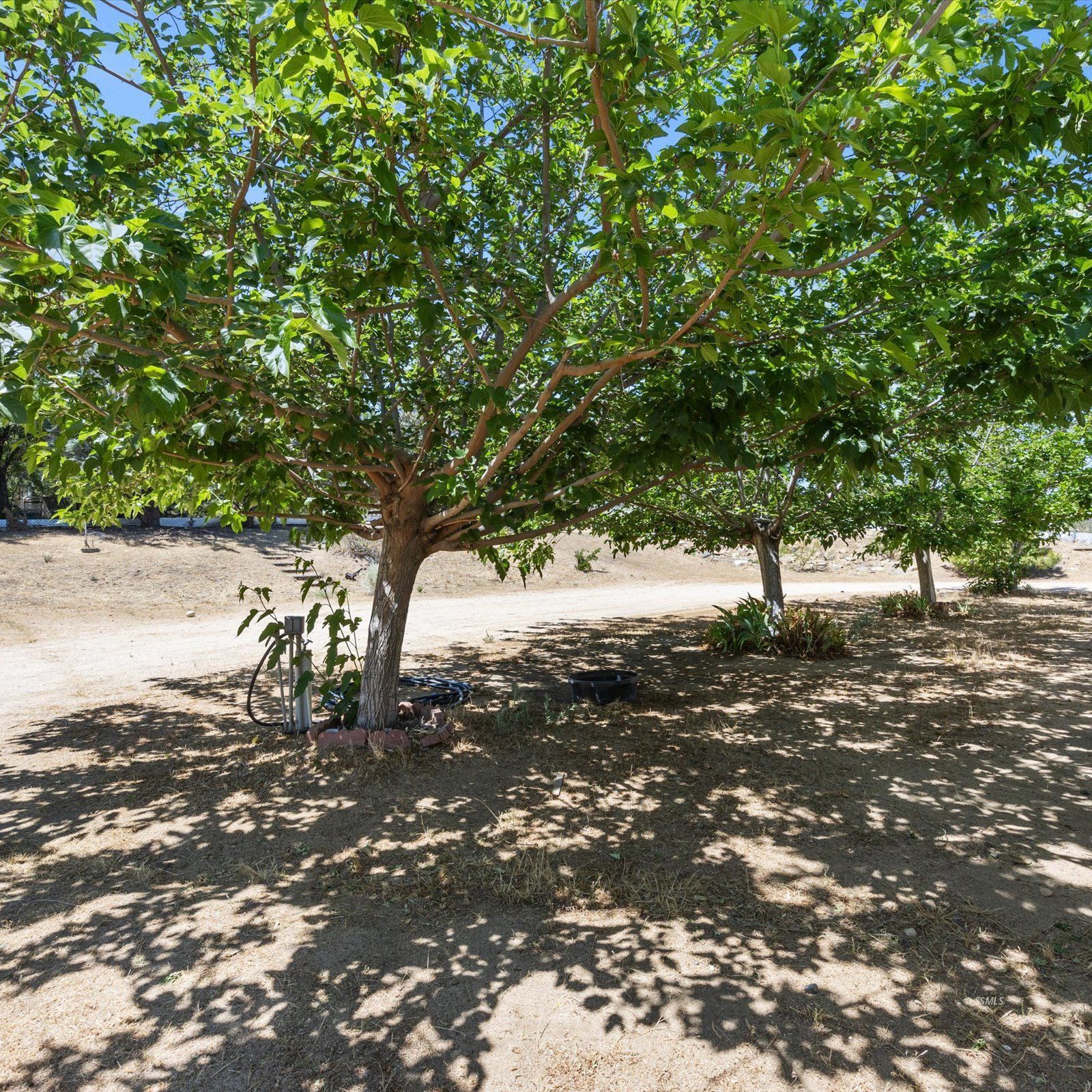 5556 Isabel Road Weldon, CA 93283 - Photo 20 of 25 Gallery Image 20