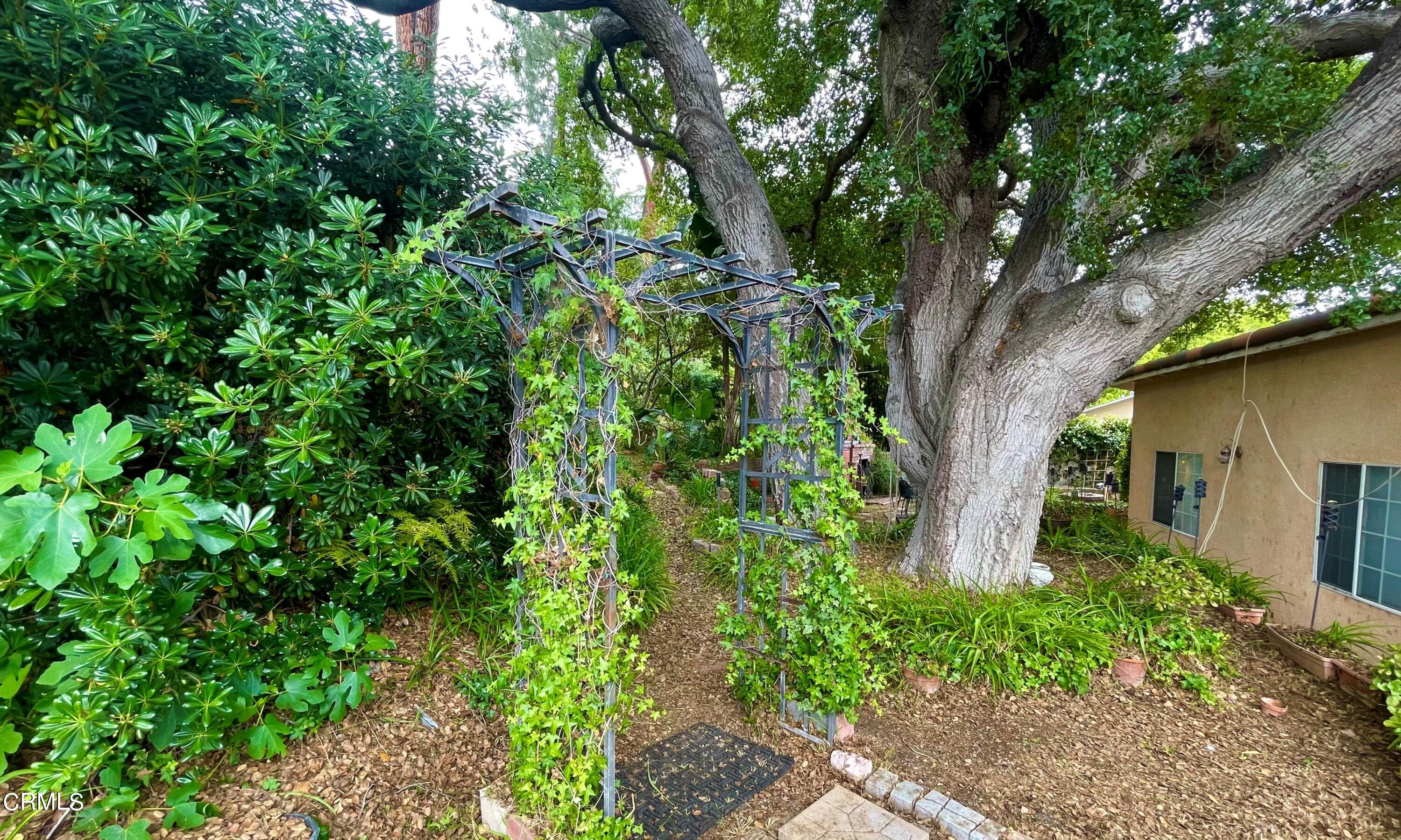 930 Sherlock Drive Burbank, CA 91501 - Photo 16 of 21 a plant is in a garden