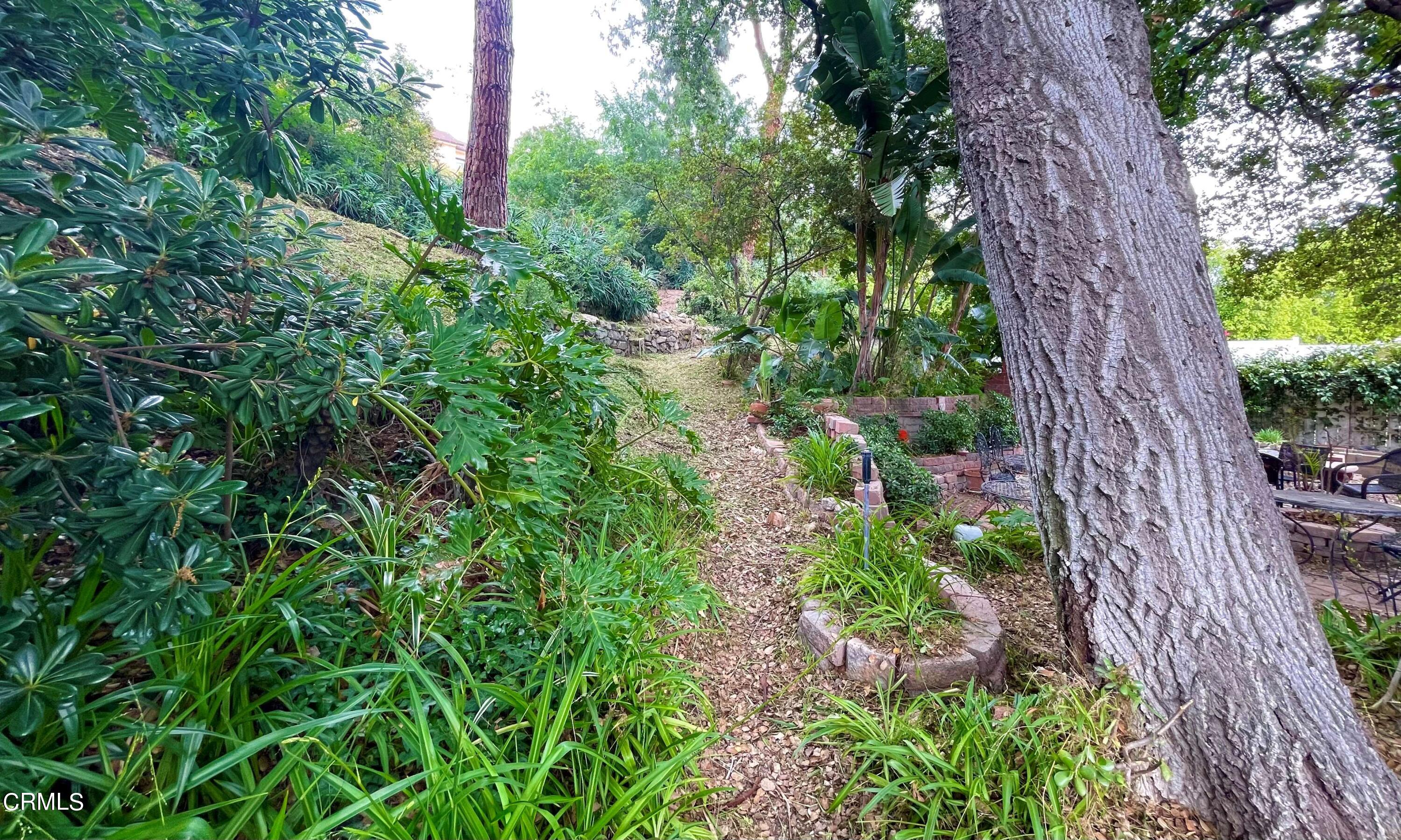 930 Sherlock Drive Burbank, CA 91501 - Photo 17 of 21 a backyard of a house with lots of green space