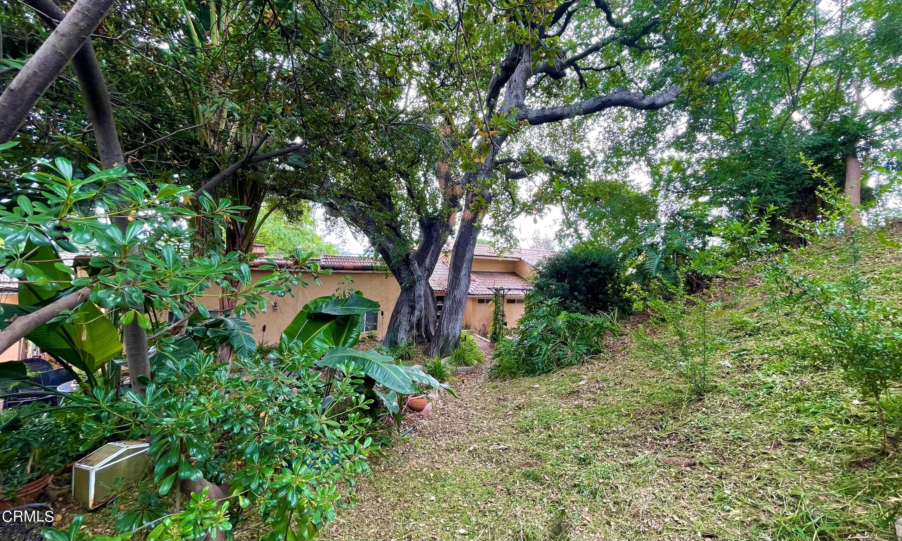 930 Sherlock Drive Burbank, CA 91501 - Photo 18 of 21 a view of a garden