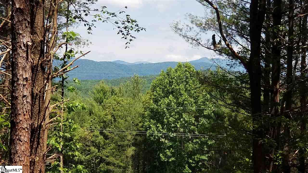 Old Chapman Bridge Road Salem, SC 29676 - Photo 4 of 6 Gallery Image 4