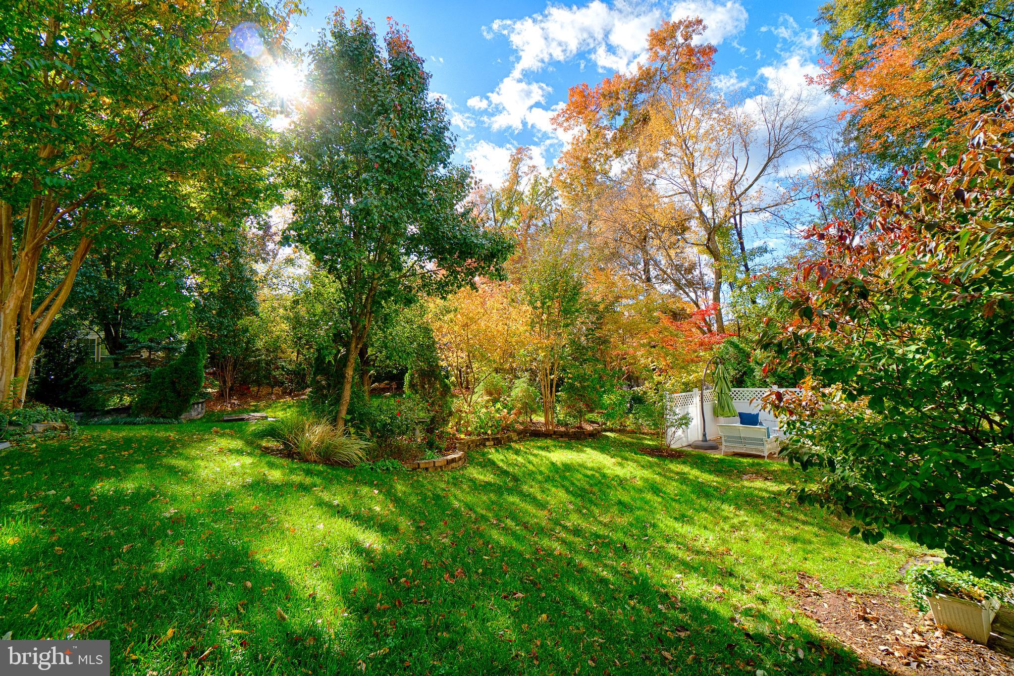 12407 Brown Fox Way Reston, VA 20191 - Photo 3 of 45 Repeat - HOA mows the lawn!