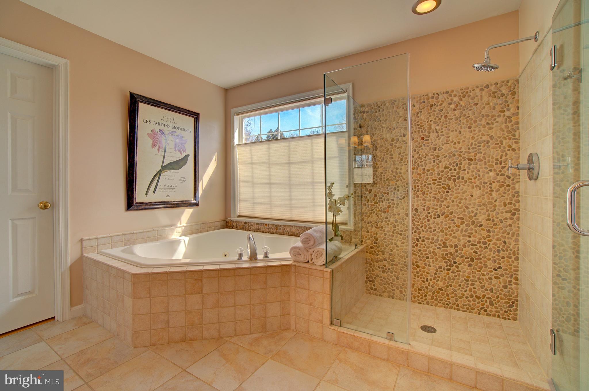 12407 Brown Fox Way Reston, VA 20191 - Photo 30 of 45 Master Bath