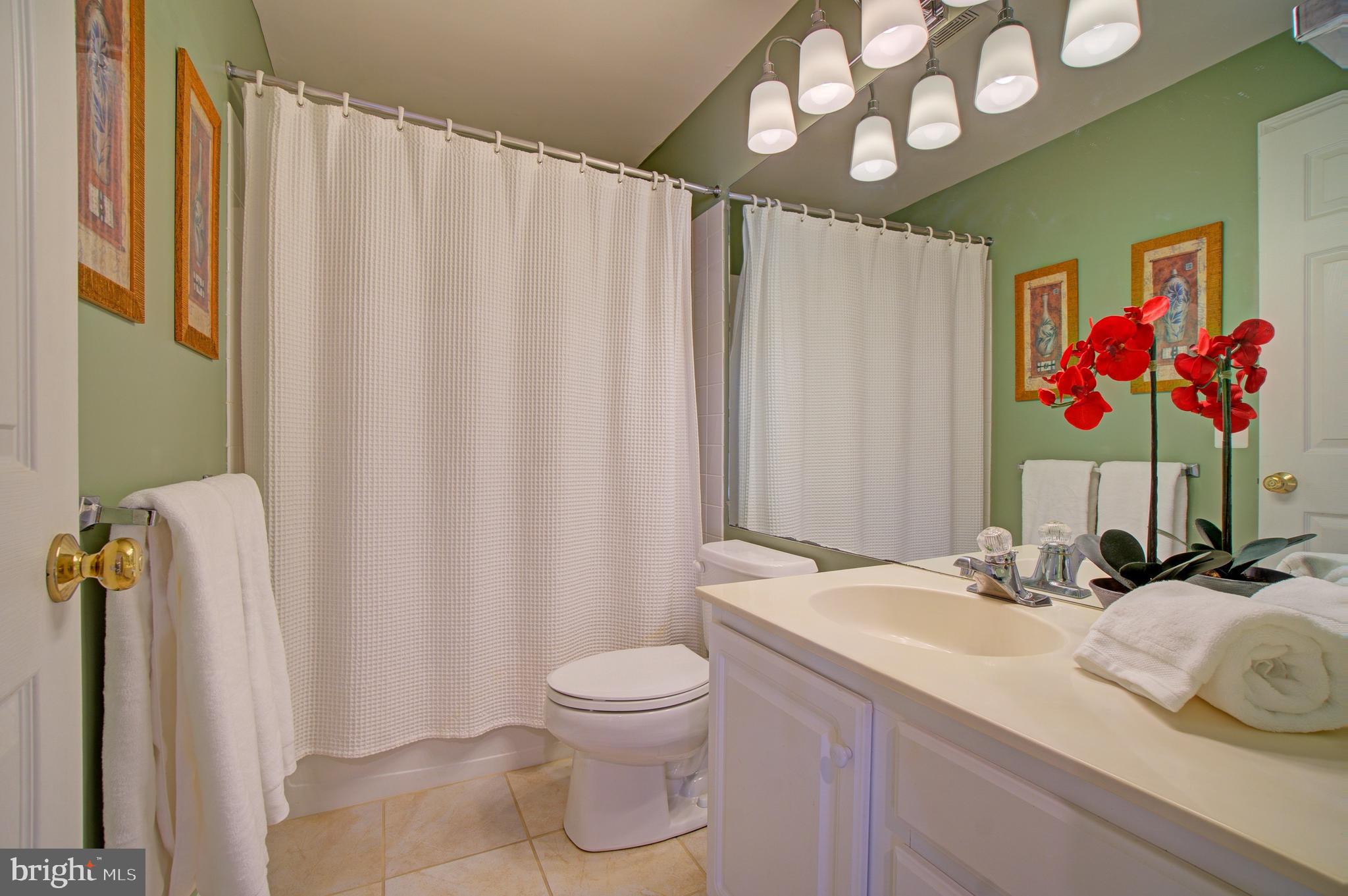 12407 Brown Fox Way Reston, VA 20191 - Photo 38 of 45 Full Bath - Lower Level